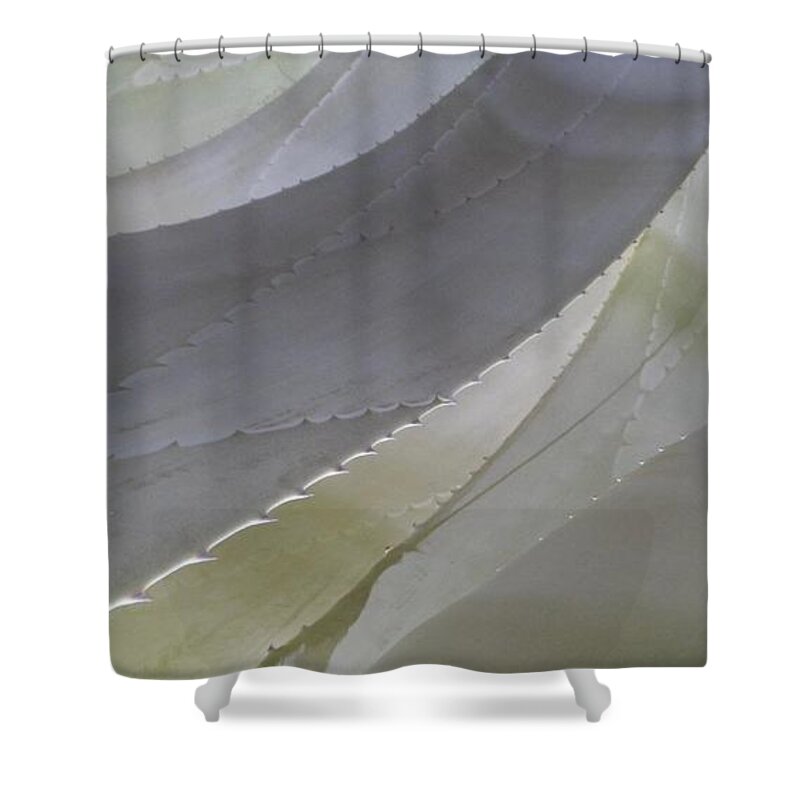 Cool Color Shape Flowing Succulent Shower Curtain featuring the photograph Succulent Series 1-1 by J Doyne Miller