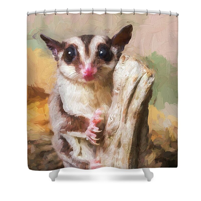 Animal Shower Curtain featuring the photograph Sugar glider - painterly by Les Palenik