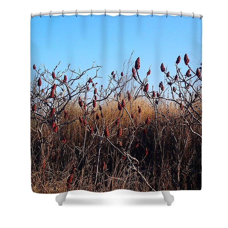 Sumac Shower Curtain featuring the photograph Sumac at the Beach by Lois Lepisto