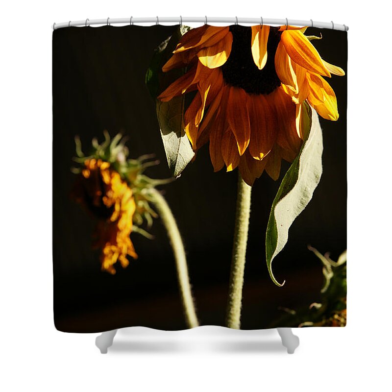 Summer Shower Curtain featuring the photograph Summer and the Beat of Your Heart by Linda Shafer