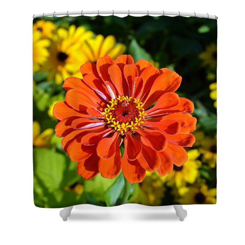 Flower Shower Curtain featuring the photograph Summer Brilliance by Carla Parris