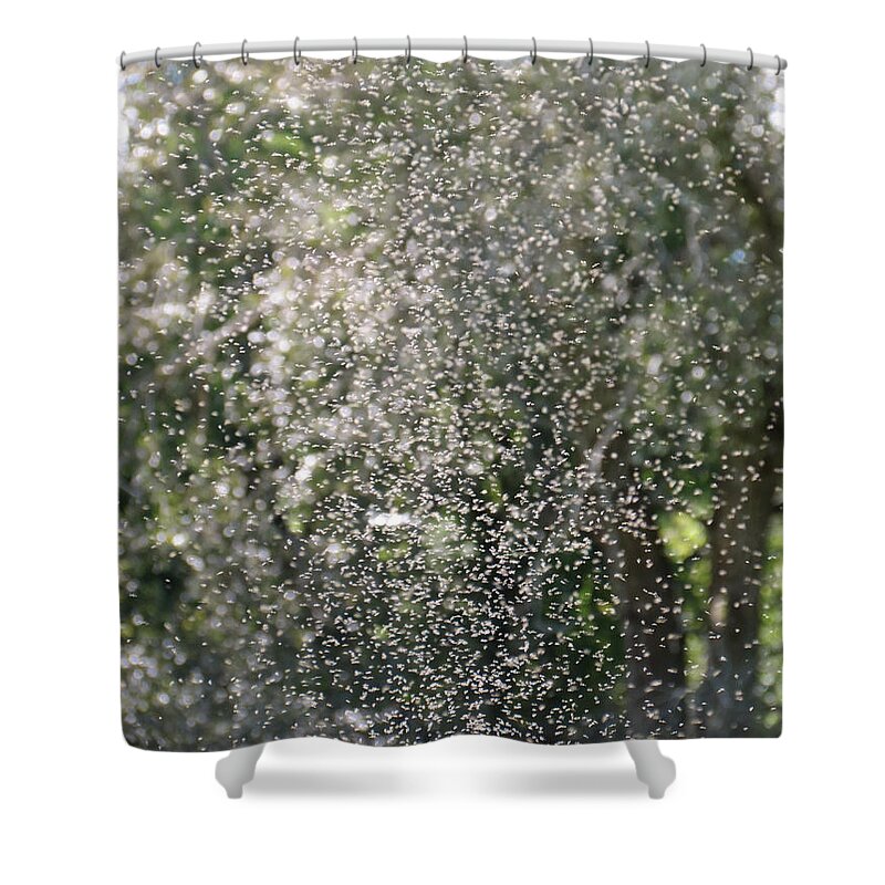 Insects Shower Curtain featuring the photograph Summer Daze by Azthet Photography