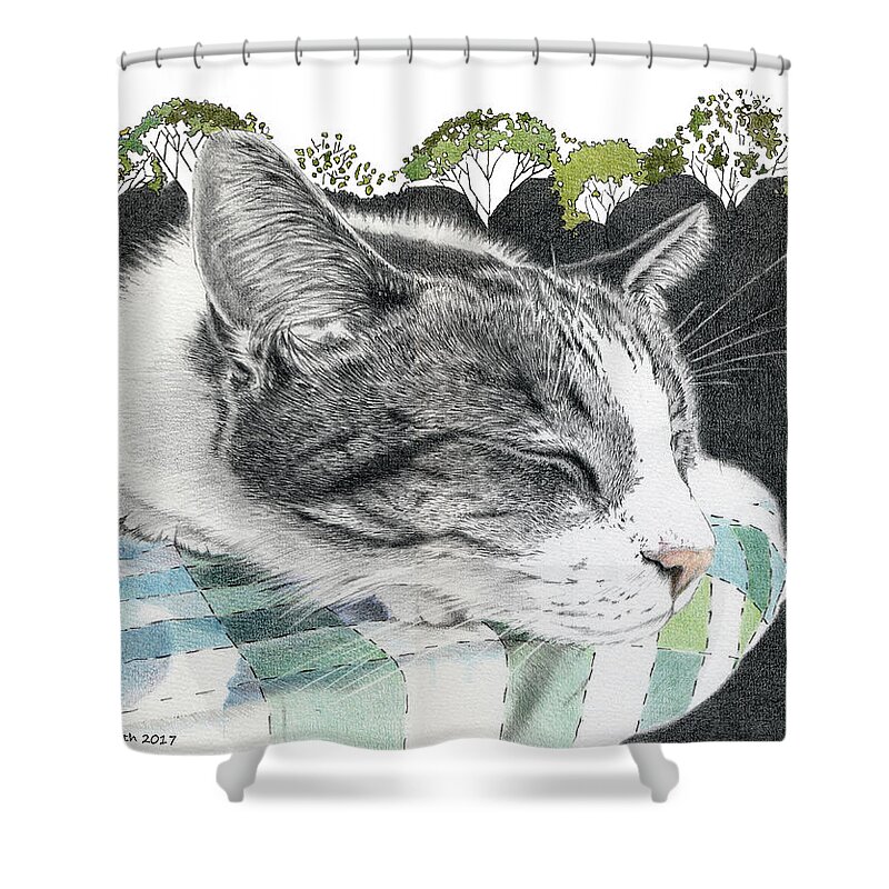 Cat Shower Curtain featuring the drawing Summer Dreams by Louise Howarth