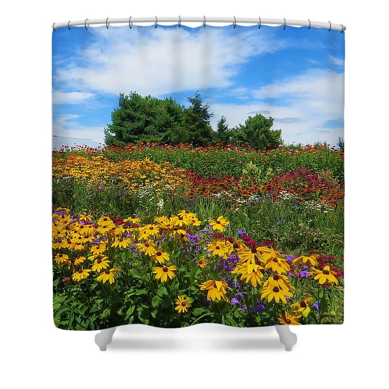Flowers Shower Curtain featuring the photograph Summer Flowers in PA by Jeanette Oberholtzer
