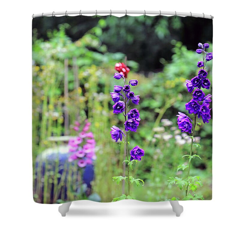 Summer Glory Shower Curtain featuring the photograph Summer Glory by PJQandFriends Photography