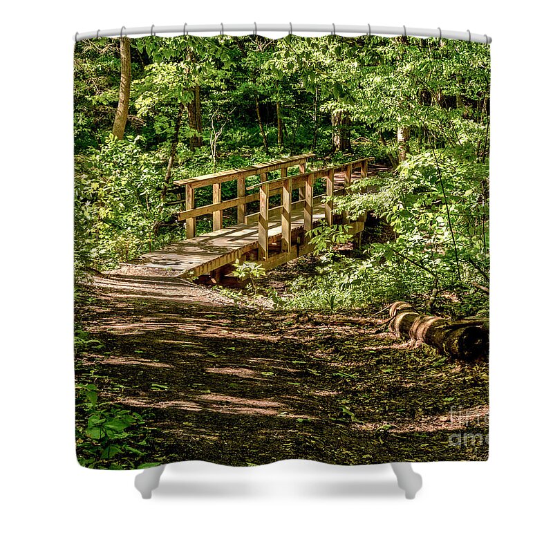 Woods Shower Curtain featuring the photograph Summer in The Woods by Rod Best