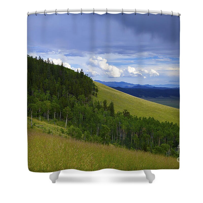 Colorado Shower Curtain featuring the photograph Summer On Kenosha Pass by Barbara Schultheis