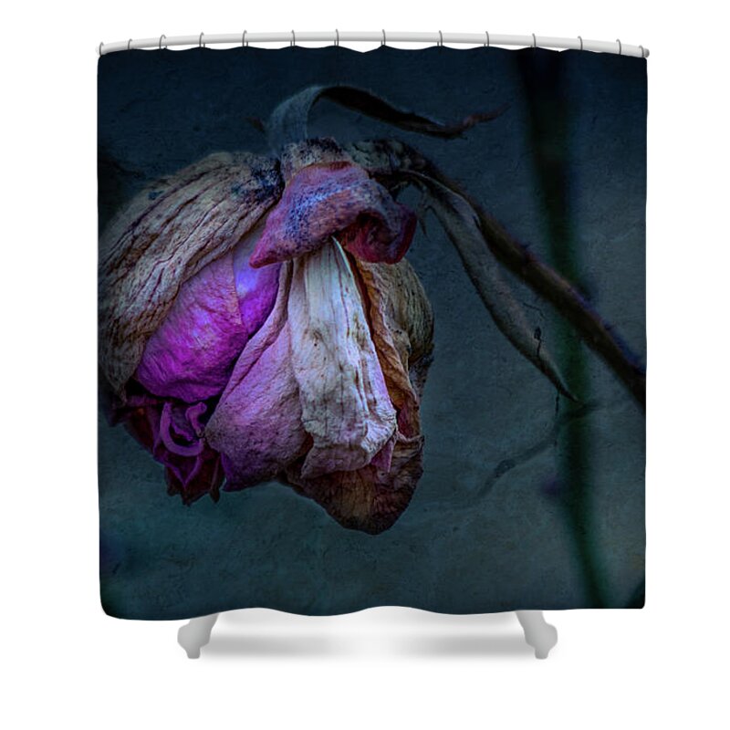 Summer Shower Curtain featuring the photograph Summer Remembrance by Allin Sorenson