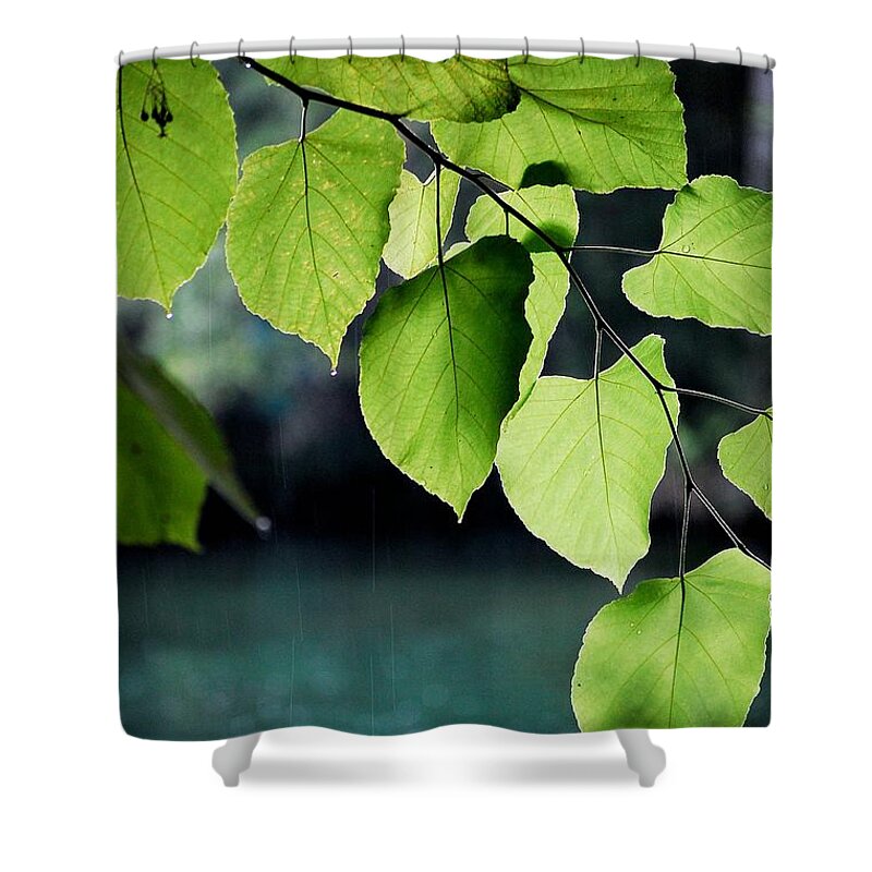 Summer Showers Shower Curtain featuring the photograph Summer Showers by Robert Meanor