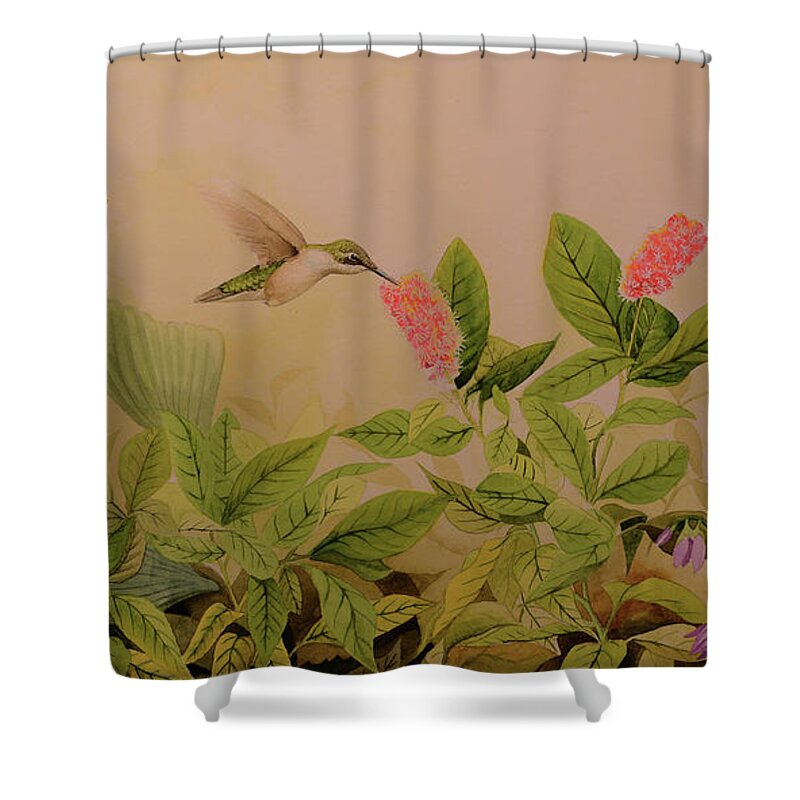 Bird Shower Curtain featuring the painting Summer So Sweet by Charles Owens