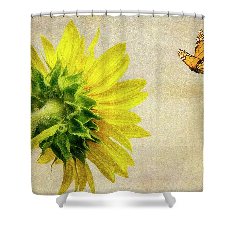 Sunflower Shower Curtain featuring the photograph Summer Sun by Cathy Kovarik