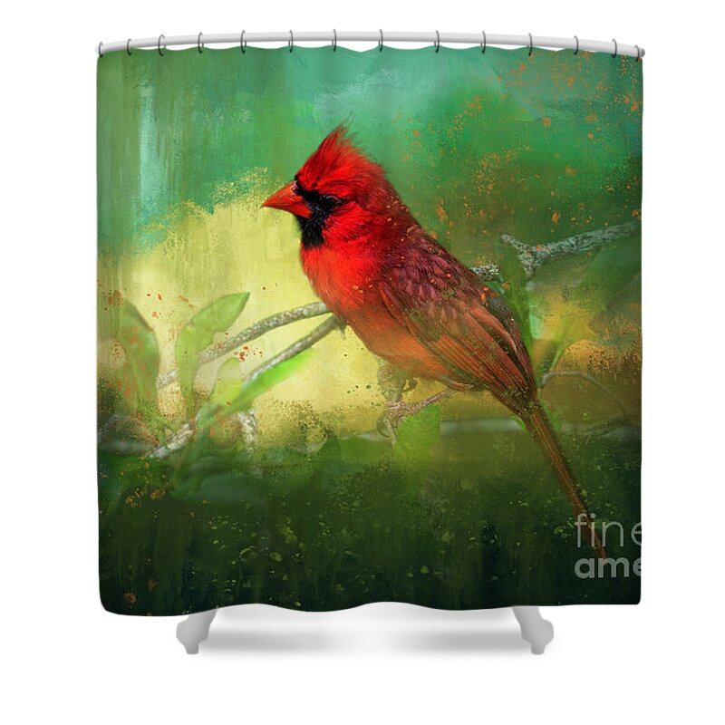 Northern Cardinal Shower Curtain featuring the photograph Summer Time by Marvin Spates