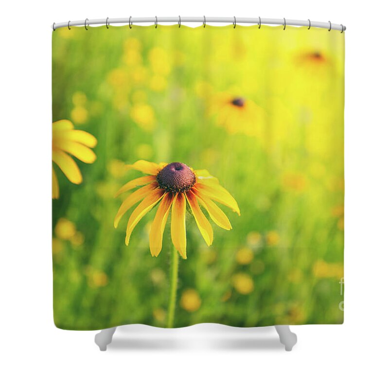 Wildflowers Shower Curtain featuring the photograph Summertime by Becqi Sherman