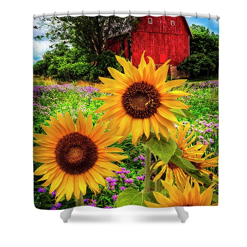Sunflowers Shower Curtain featuring the photograph Summertime Fields by Debra and Dave Vanderlaan