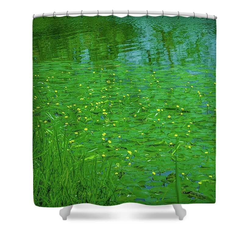 Summer Shower Curtain featuring the photograph Summertime #g4 by Leif Sohlman