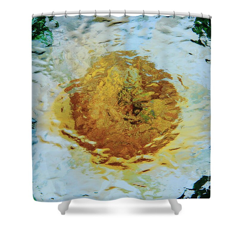 Impressionistic Shower Curtain featuring the photograph Sun and Moon Peony Impression by Jeanette French