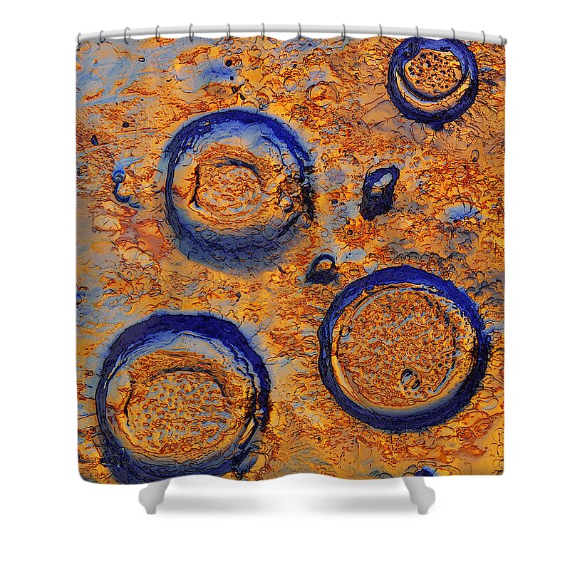 Sun Catcher Shower Curtain featuring the photograph Sun Catchers by Sami Tiainen