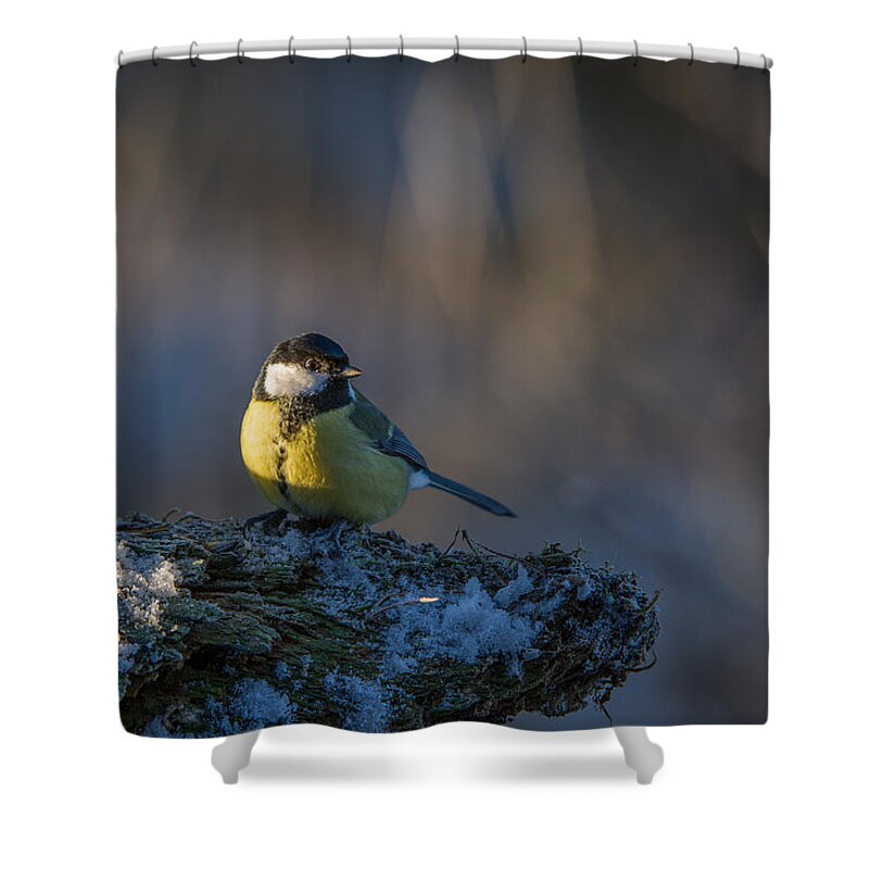 Sun In The Eye Shower Curtain featuring the photograph Sun in the Eye by Torbjorn Swenelius
