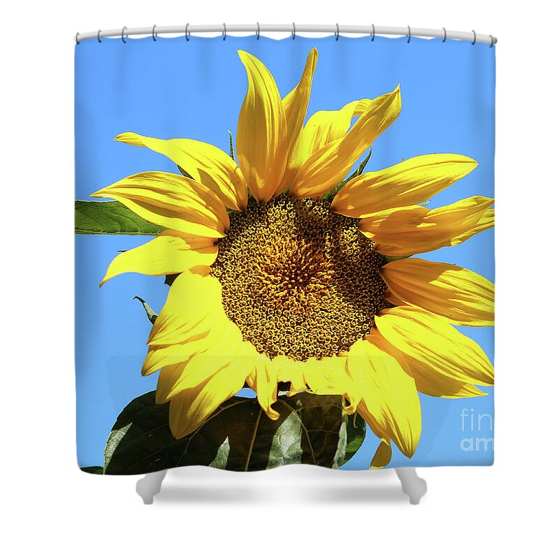 Sun Shower Curtain featuring the photograph Sun In The Sky by Wilhelm Hufnagl