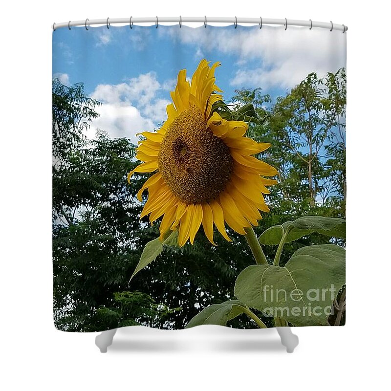 Helianthus Annuus Shower Curtain featuring the photograph Sun PoweR by Angela J Wright