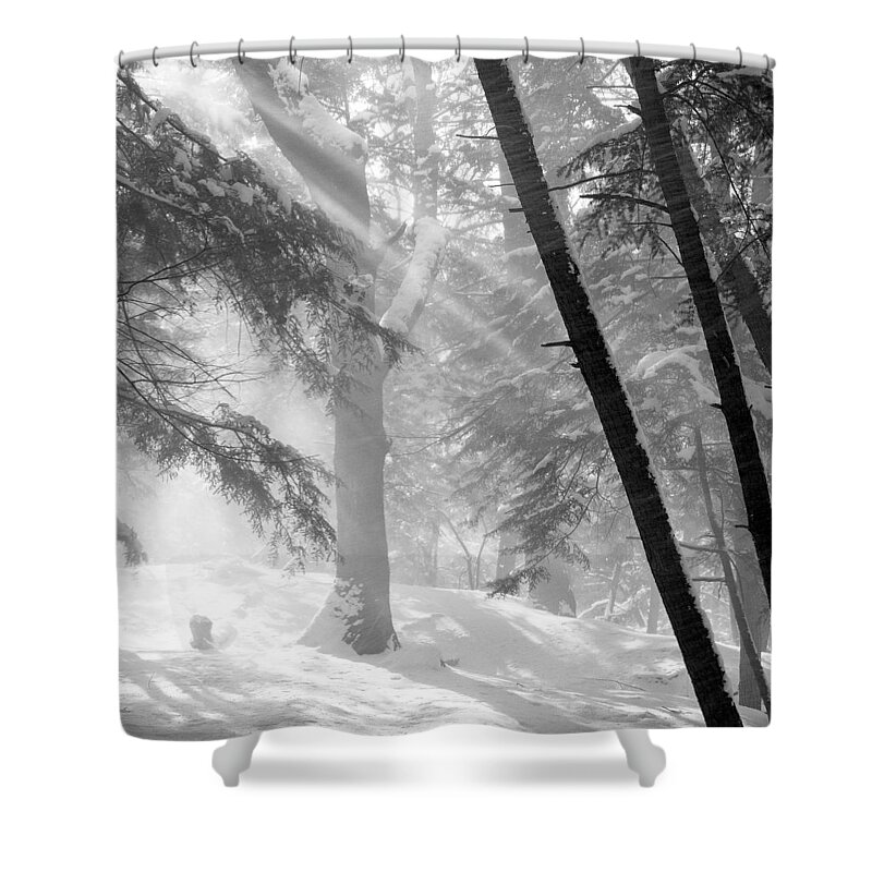 Snow Shower Curtain featuring the photograph Sun Rays In Falling Snow by John Harmon