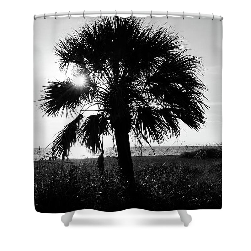 Photo For Sale Shower Curtain featuring the photograph Sun Through the Palm by Robert Wilder Jr