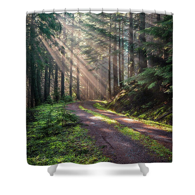 Landscape Shower Curtain featuring the photograph Sunbeam in Trees portrait by Jason Brooks