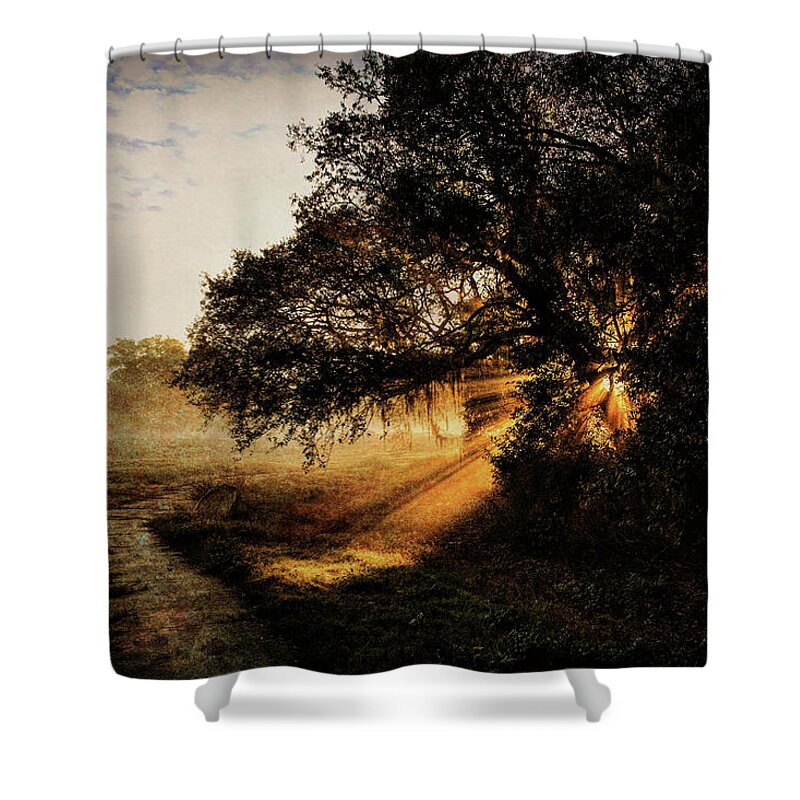 Beam Shower Curtain featuring the photograph Sunbeam Sunrise by Pete Rems