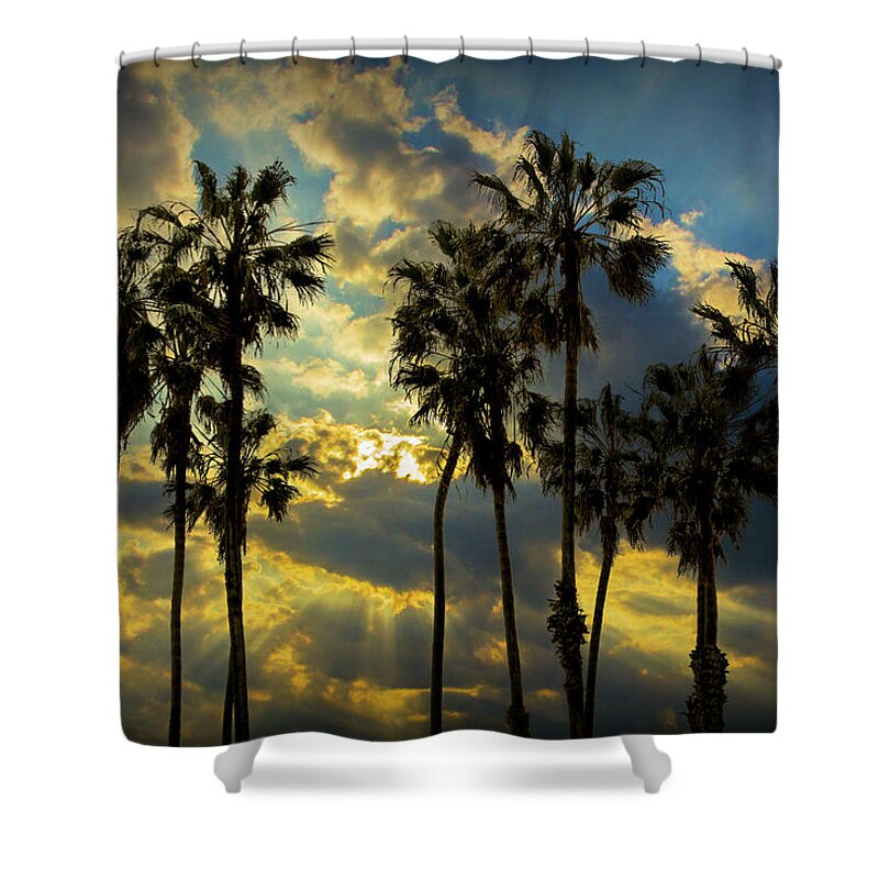 Tree Shower Curtain featuring the photograph Sunbeams and Palm Trees by Cabrillo Beach by Randall Nyhof