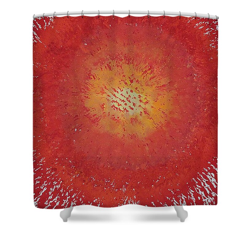 Sun Shower Curtain featuring the painting Sunburst original painting by Sol Luckman