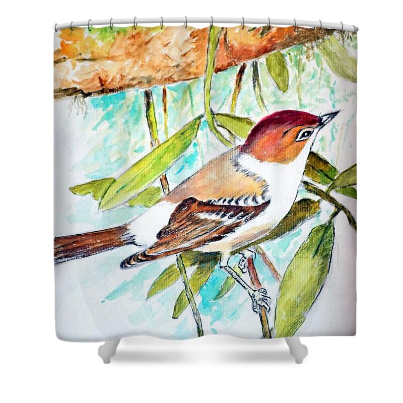 Animals Shower Curtain featuring the painting Sunda Flycatcher- Warbler by Jason Sentuf