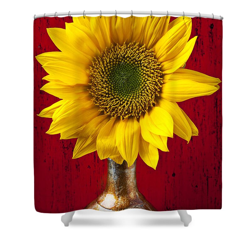 Sunflower Close Up Shower Curtain featuring the photograph Sunflower Close Up by Garry Gay