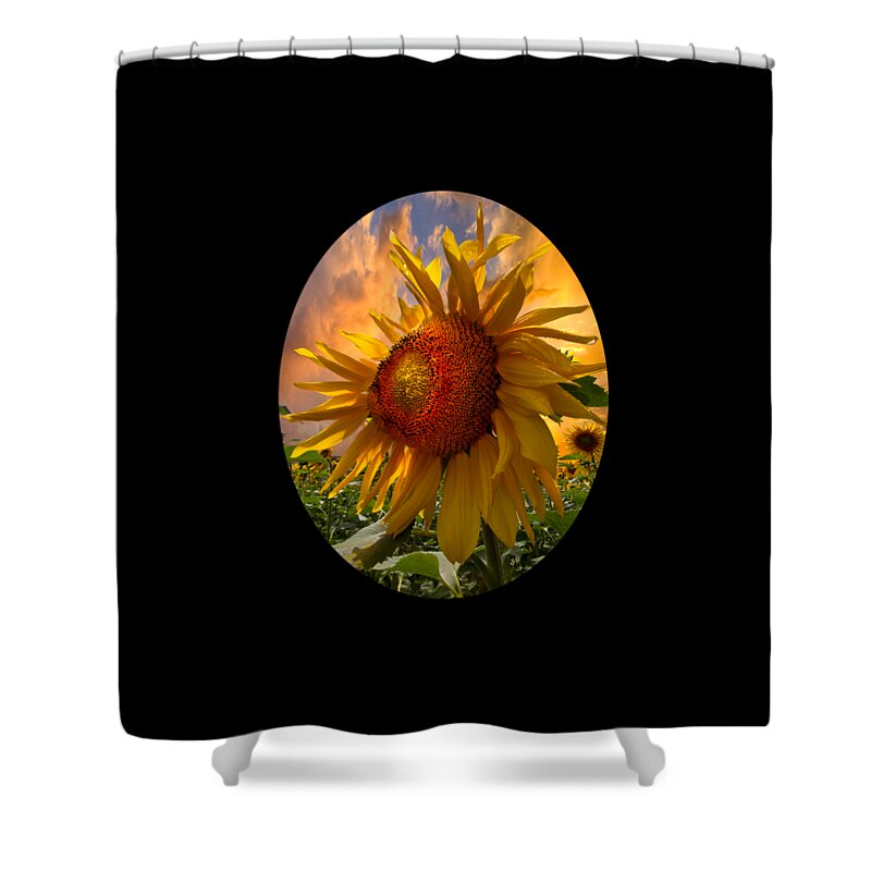 Sunflower Shower Curtain featuring the photograph Sunflower Dawn in Oval by Debra and Dave Vanderlaan