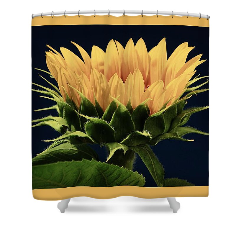 Grinter Shower Curtain featuring the photograph Sunflower Foliage and Petals by Chris Berry