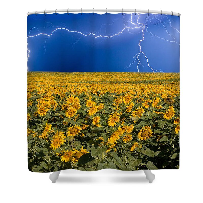 Sunflowers Shower Curtain featuring the photograph Sunflower Lightning Field by James BO Insogna