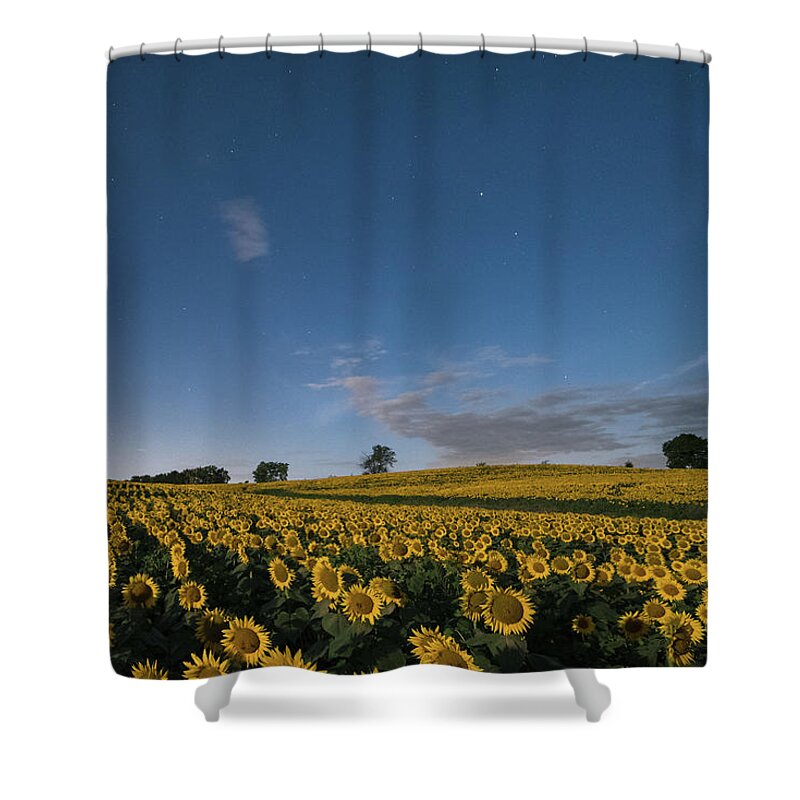 Sunflower Shower Curtain featuring the photograph Sunflower Nights by Ryan Heffron