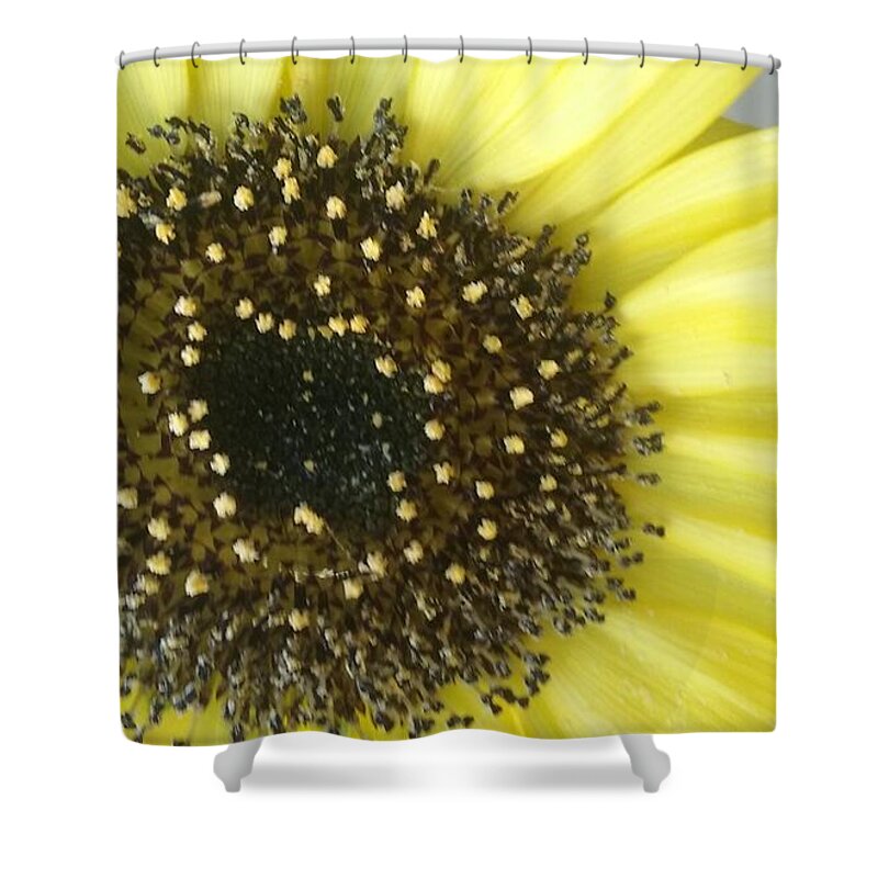 Sunflower Shower Curtain featuring the photograph Sunflower by Seaux-N-Seau Soileau