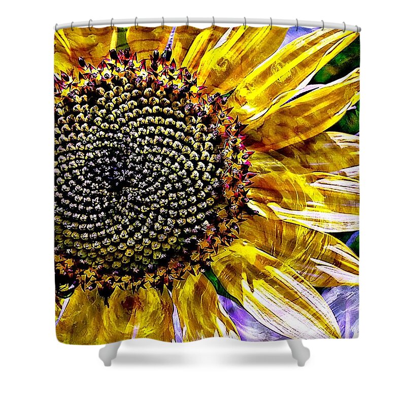 Photography By Suzanne Stout Shower Curtain featuring the photograph Sunflower Study by Suzanne Stout