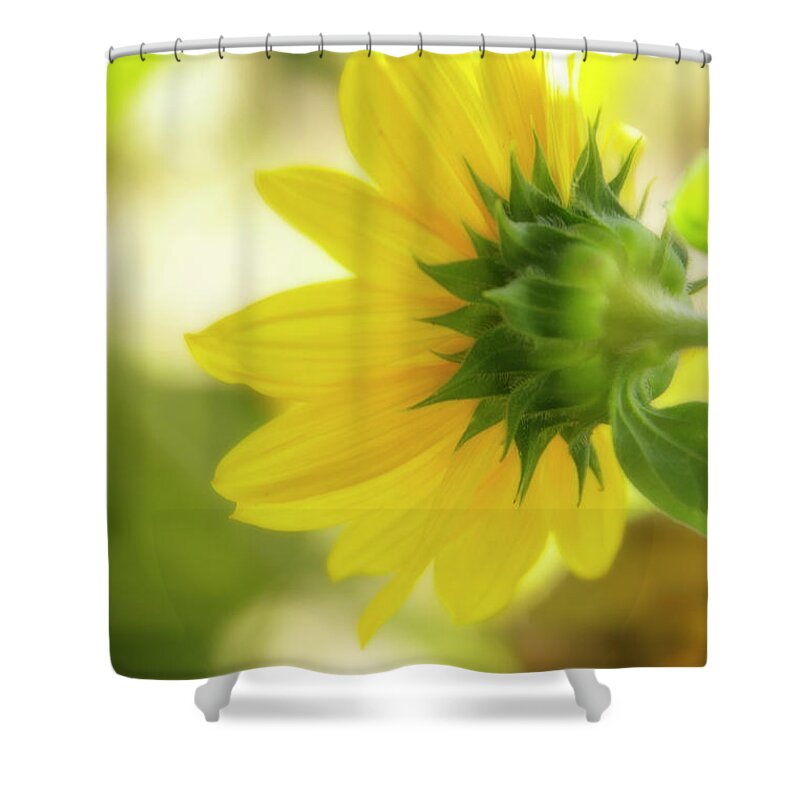 Sunflower Shower Curtain featuring the digital art Sunflower Sweet by Terry Davis