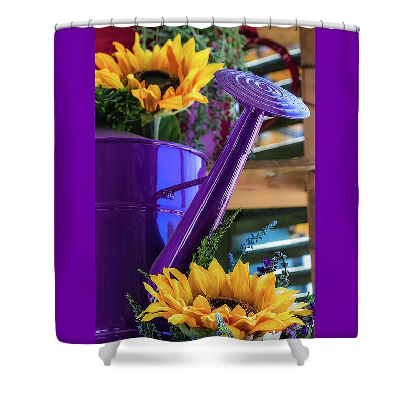 Sunflowers Shower Curtain featuring the photograph Complementary Sunflowers by Laura Roberts