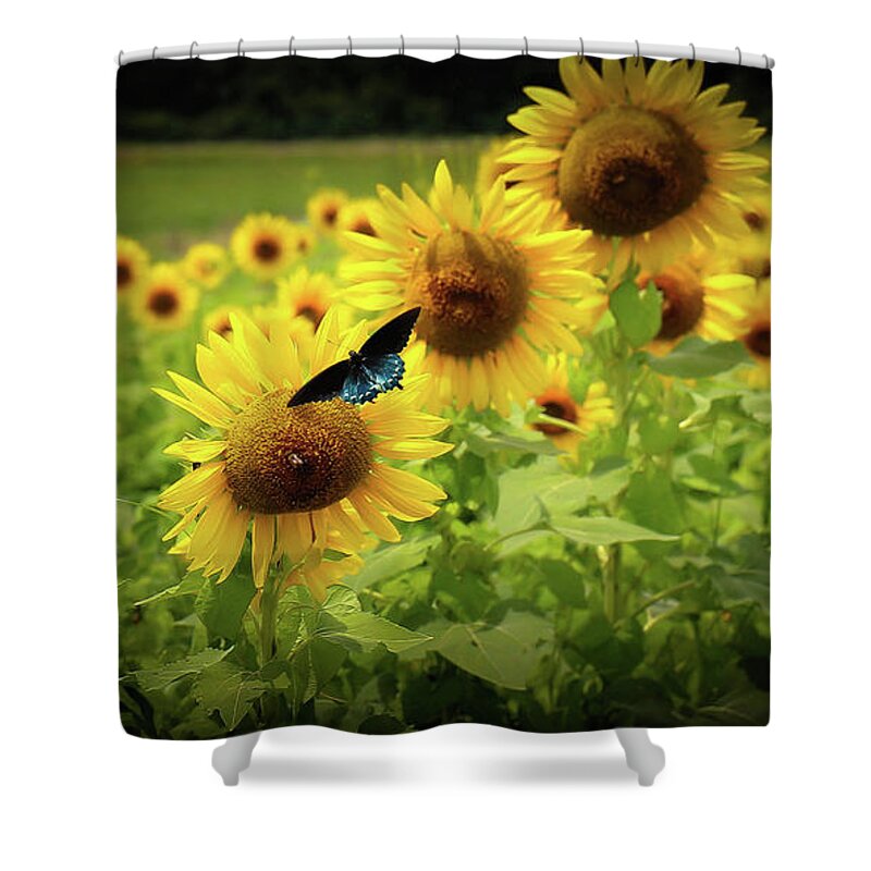 Sunflowers Shower Curtain featuring the photograph Sunflowers in Memphis by Veronica Batterson