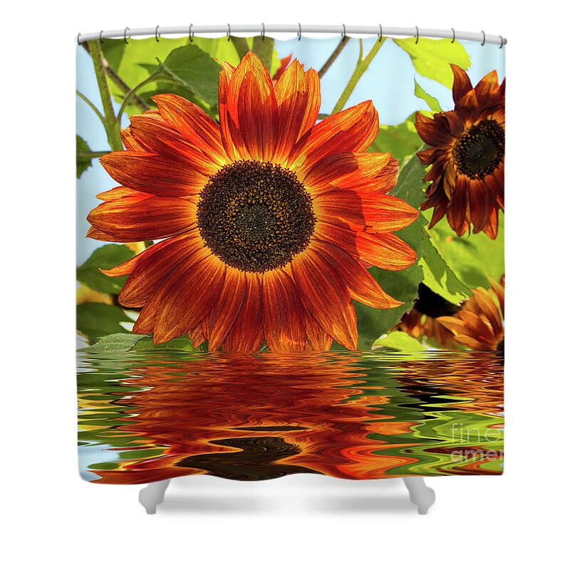 Flower Shower Curtain featuring the photograph Sunflowers In Water by Mimi Ditchie