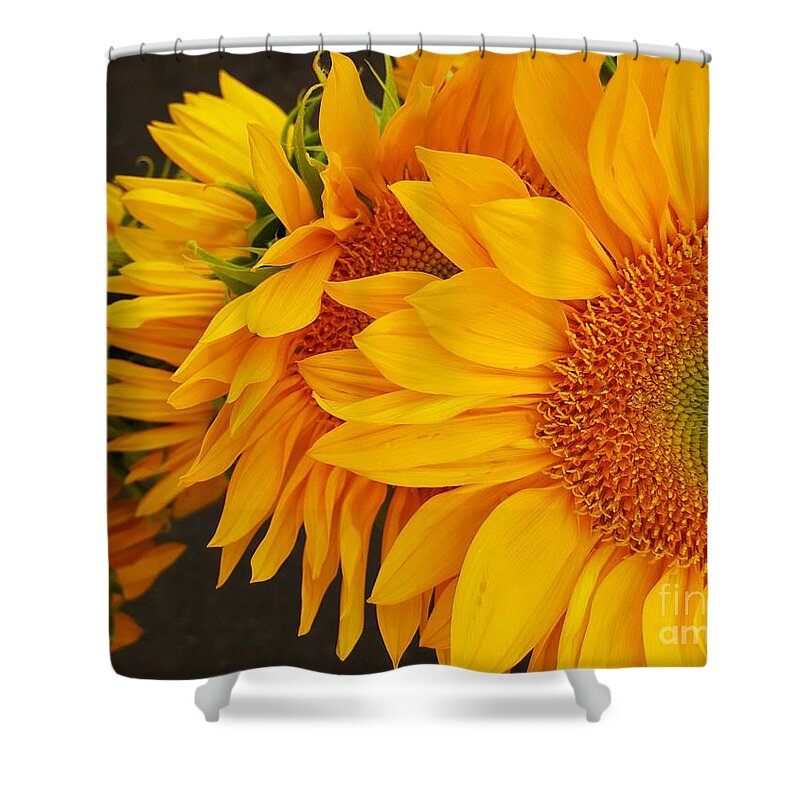 Sunflowers Shower Curtain featuring the photograph Sunflowers Train by Jasna Gopic