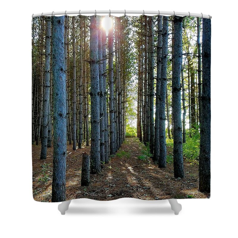 Sunlight Shower Curtain featuring the photograph Sunlight Through the Forest Trees by Vic Ritchey