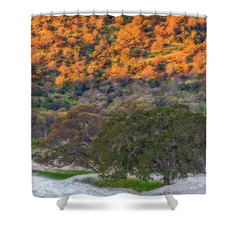 Landscape Shower Curtain featuring the photograph Sunlit Hillside and Frost by Marc Crumpler