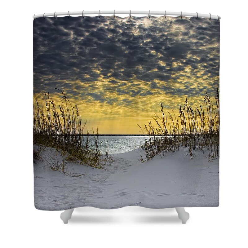 Coast Shower Curtain featuring the photograph Sunlit Passage by Janet Fikar