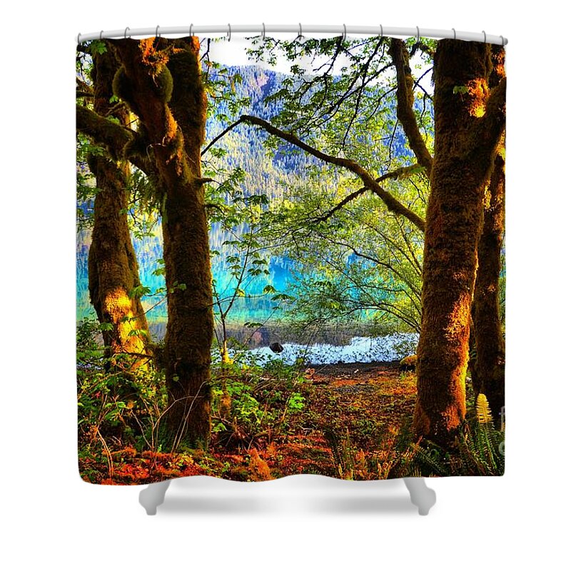 Abstract Shower Curtain featuring the photograph Sunny Day by Lauren Leigh Hunter Fine Art Photography