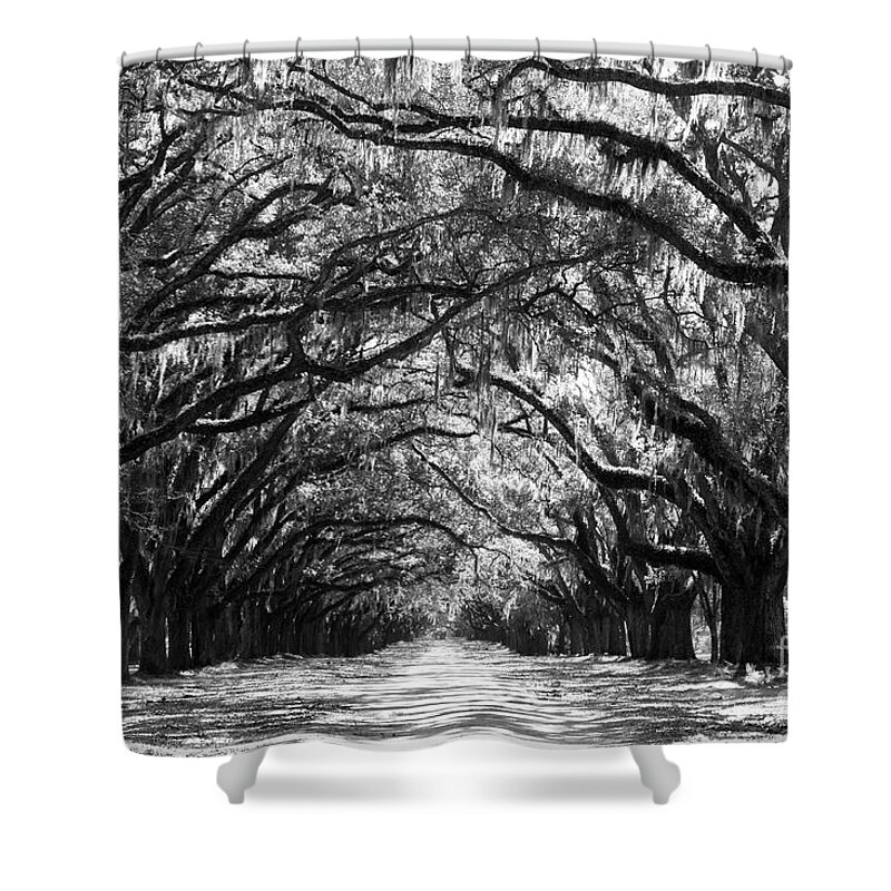 Live Oaks Shower Curtain featuring the photograph Sunny Southern Day - Black and White by Carol Groenen