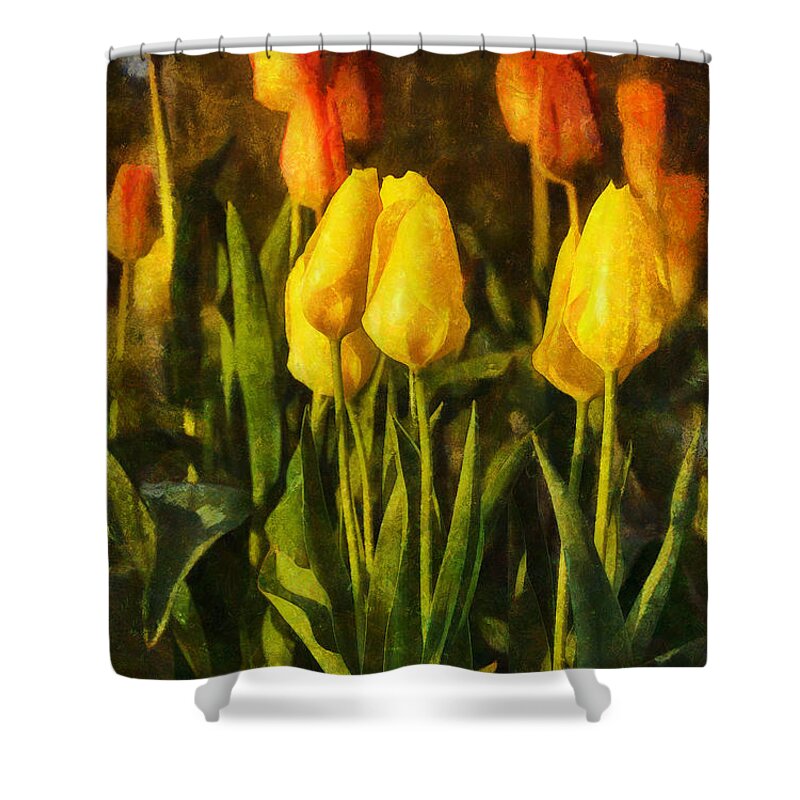 Flowers Shower Curtain featuring the digital art Sunny Tulips by JGracey Stinson