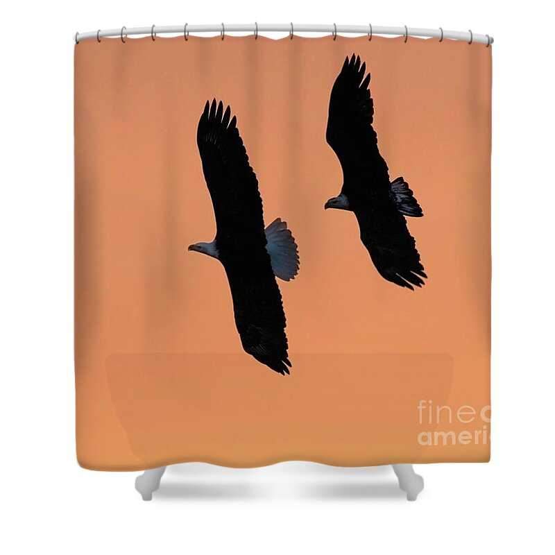 Bald Eagle Shower Curtain featuring the photograph Sunrise Eagles by Art Cole